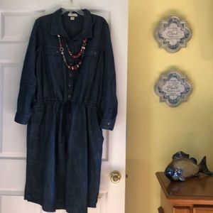 Christopher Banks denim dress